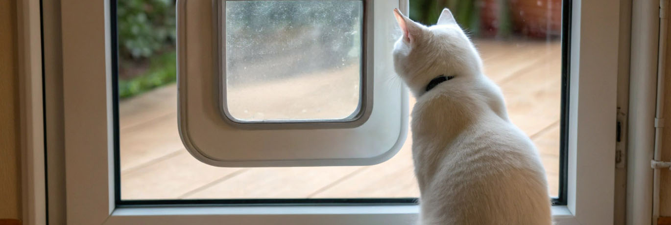 Photo d'un chat devant une chatière posée dans un double vitrage